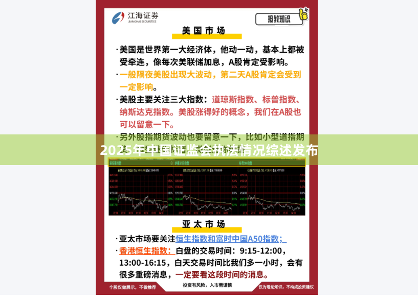 2025年中国证监会执法情况综述发布