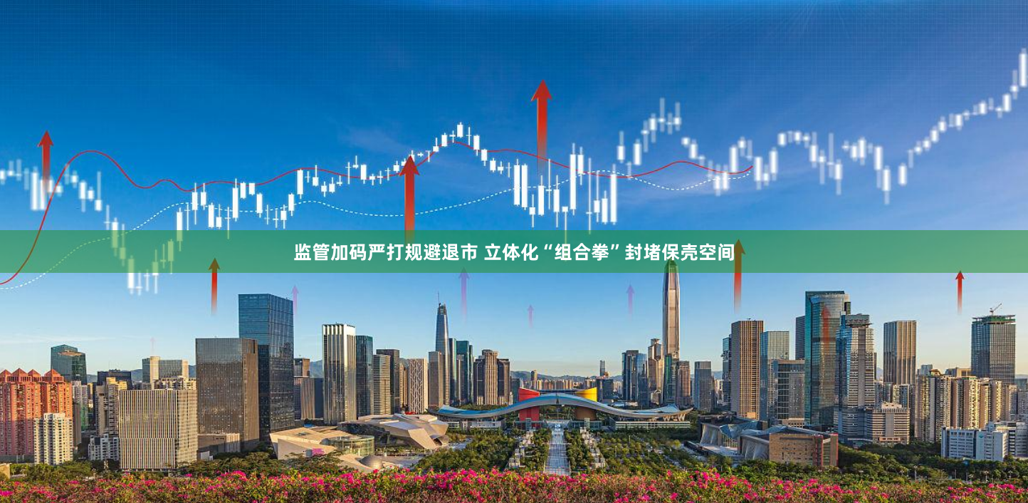 监管加码严打规避退市 立体化“组合拳”封堵保壳空间