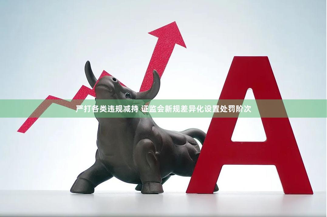 严打各类违规减持 证监会新规差异化设置处罚阶次