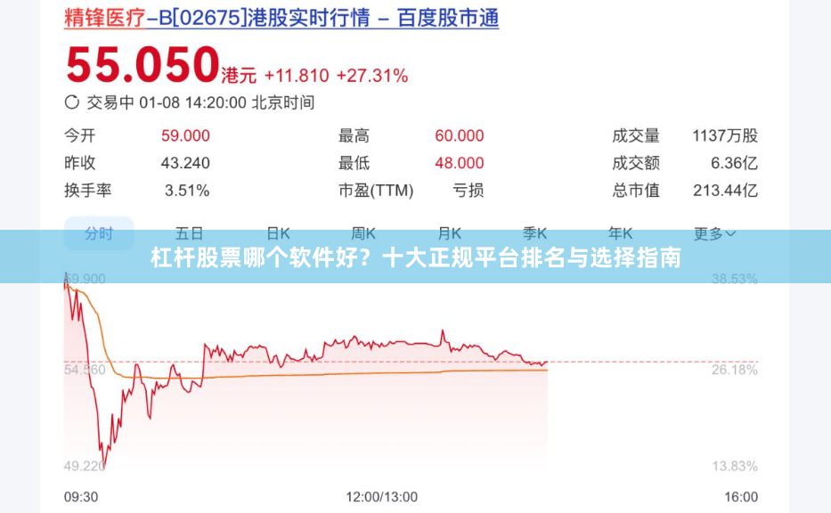 杠杆股票哪个软件好？十大正规平台排名与选择指南