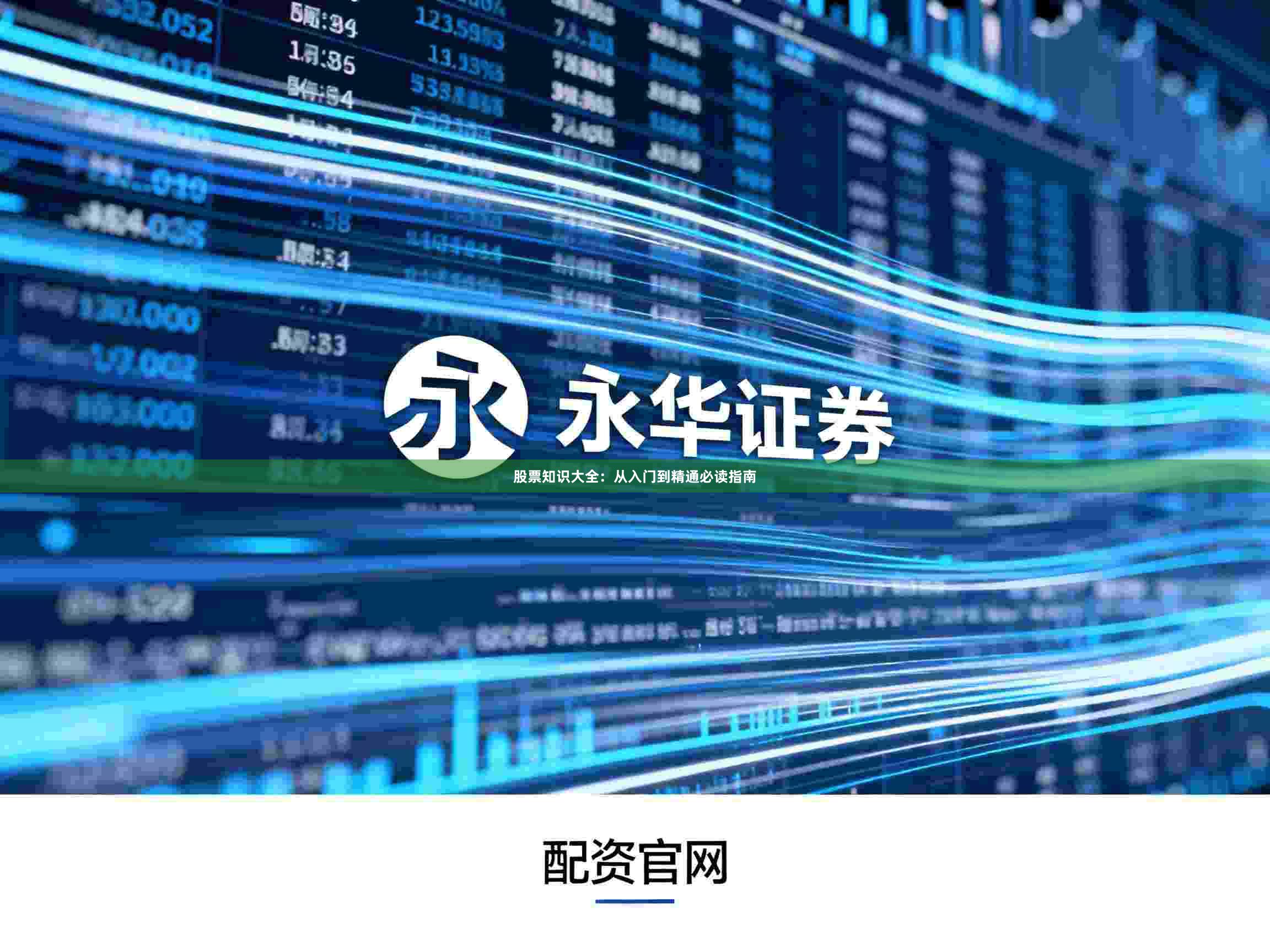 股票知识大全：从入门到精通必读指南