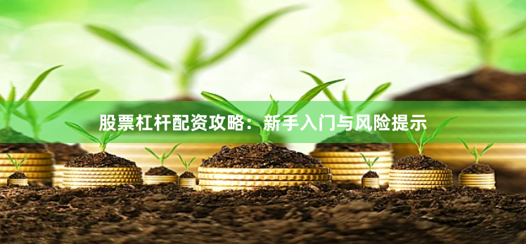 股票杠杆配资攻略：新手入门与风险提示